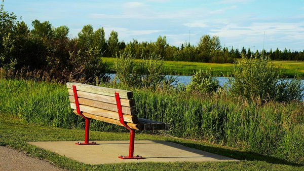 L'hypnose pour perdre du poids : avis des experts médicaux et recommandations